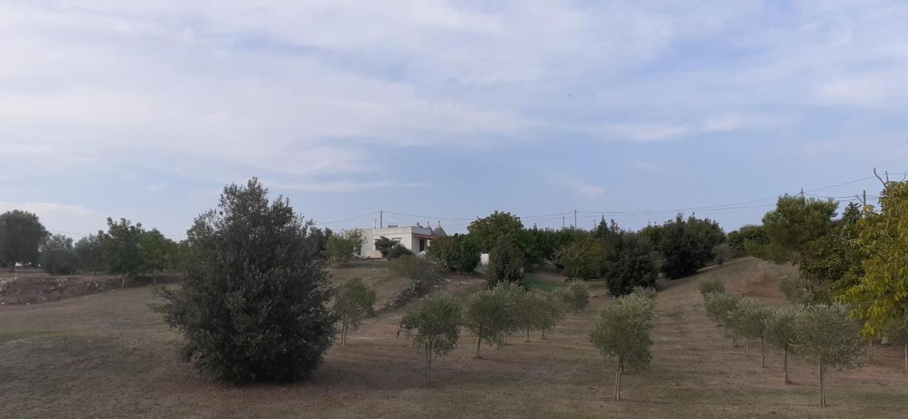 הוילה מרטינה פרנקה Trullo Genista מראה חיצוני תמונה